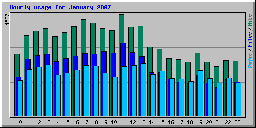 Hourly usage for January 2007